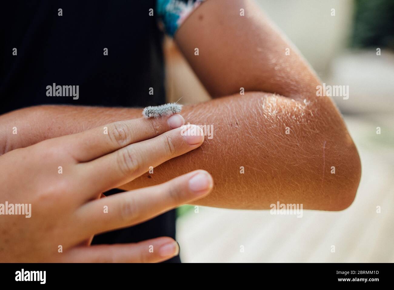 Winzige weiße und pelzige Raupe kriecht auf Mädchen Finger Stockfoto