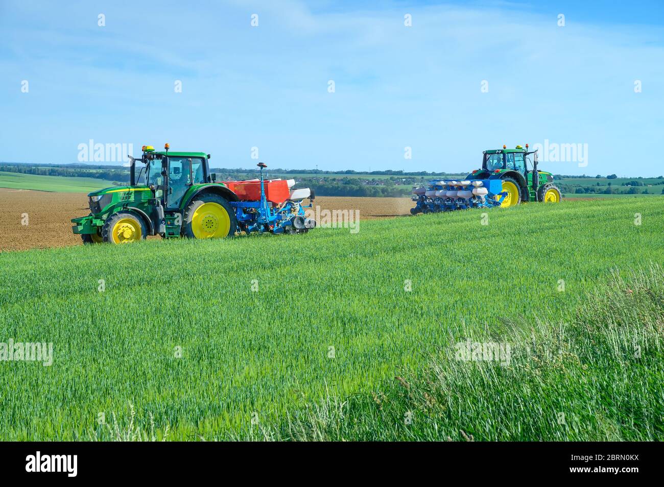 Zwei Traktoren säen Getreide auf Kornfeld, blauer Himmel Stockfoto