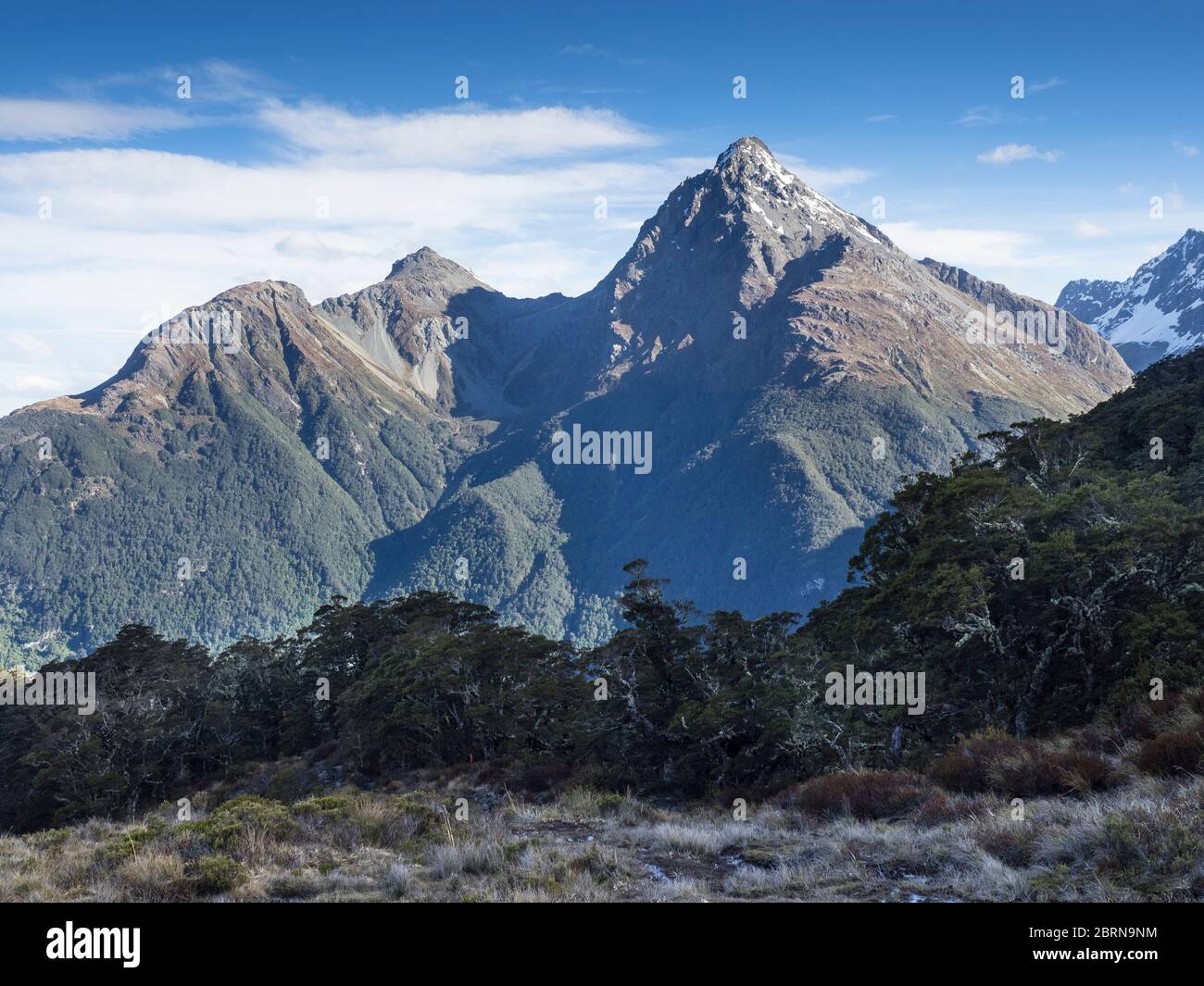 Upper Peak, Humboldt Mountains vom Sugarloaf Pass (1154m) Mount Aspiring National Park, Otago, South Island, Neuseeland Stockfoto