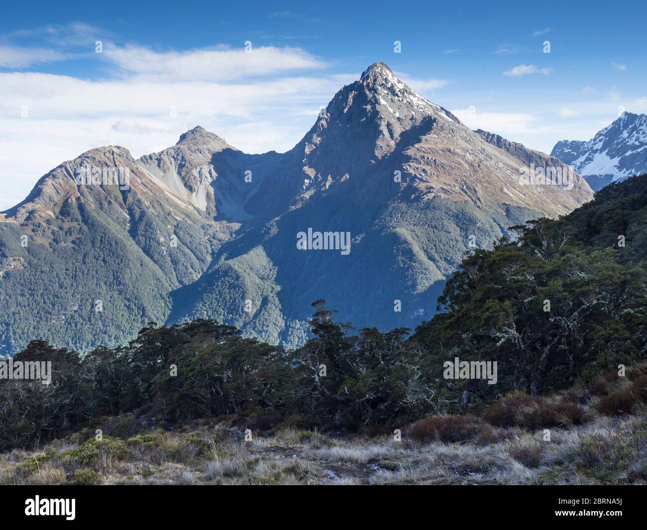 Upper Peak, Humboldt Mountains vom Sugarloaf Pass (1154m) Mount Aspiring National Park, Otago, South Island, Neuseeland Stockfoto