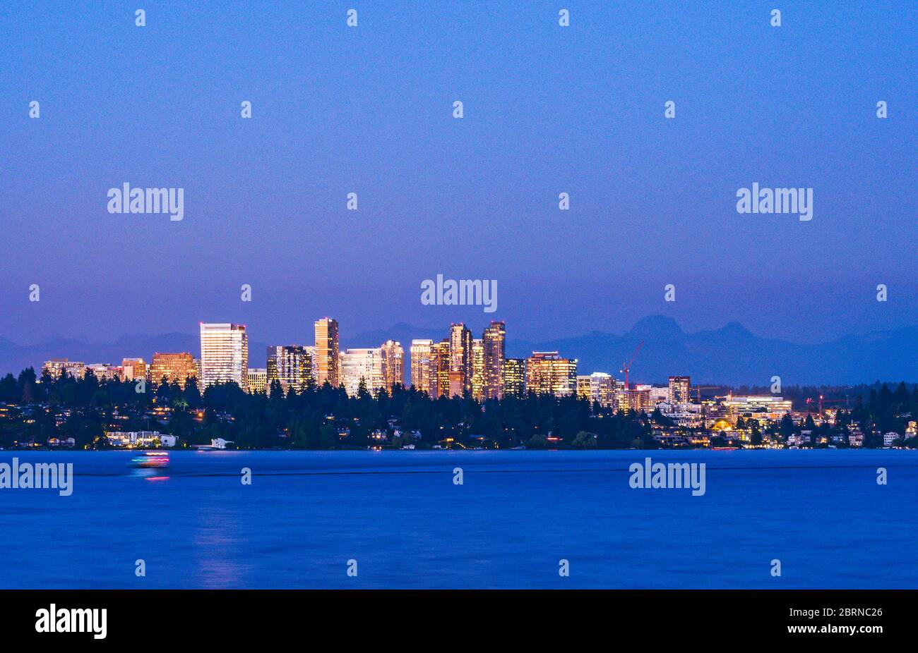 bellevue Stadtbild bei Nacht, Washington, usa. Stockfoto