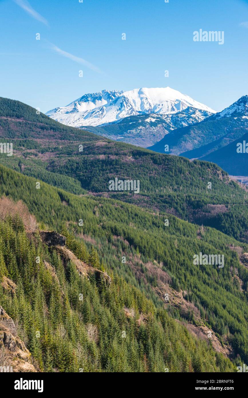 Landschaftlich schöne Aussicht auf Mt st Helens mit Waldtal, Washington, usa. Stockfoto