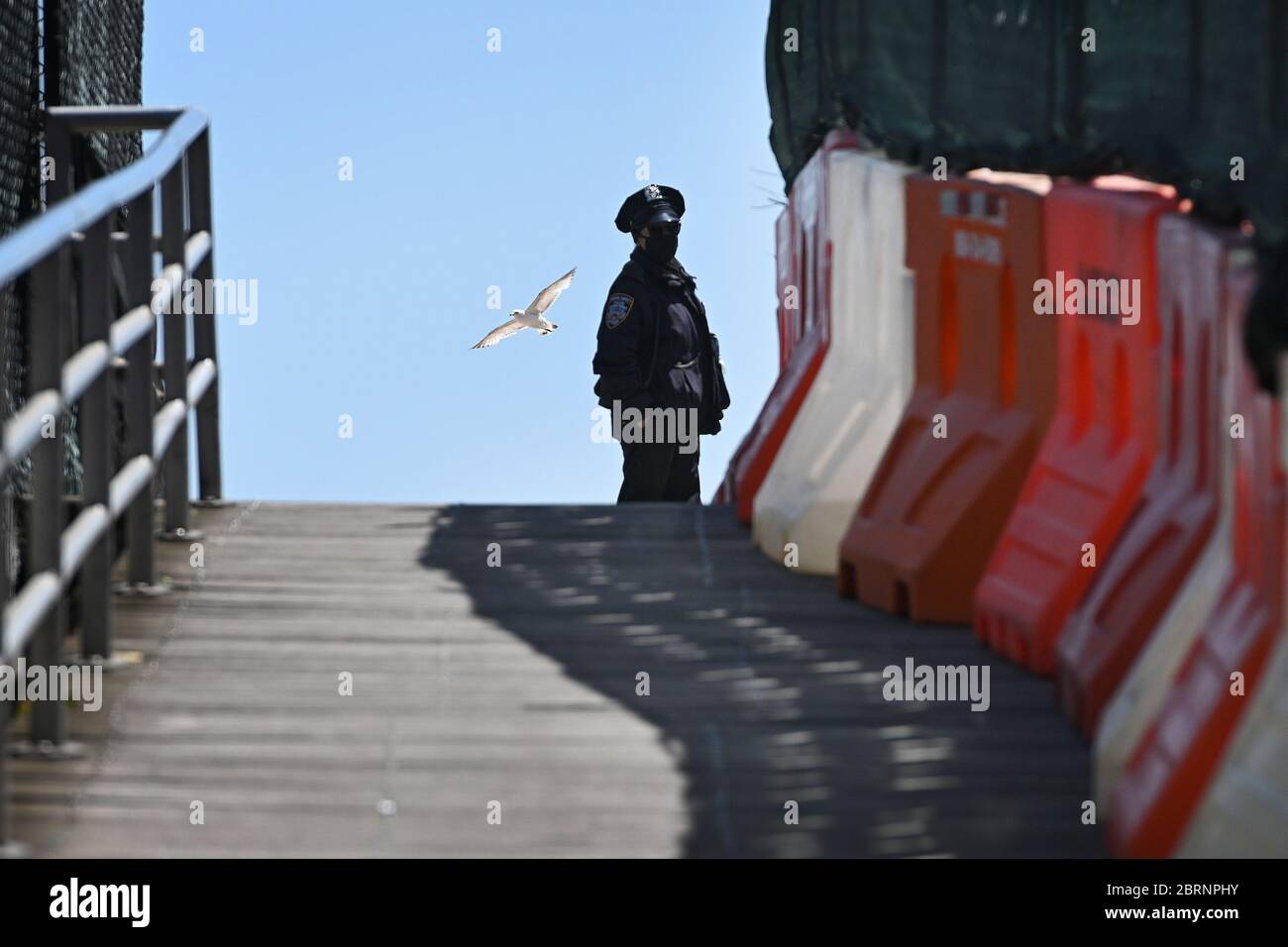 New York City, USA. Mai 2020. Ein seagal überfährt die Schulter eines Sicherheitsbeauftragten der NYPD School und blickt eine Rampe hinunter, die zur Strandpromenade von Coney Island im Stadtteil Brooklyn von New York City, NY, am 21. Mai 2020 führt. Die NYPD kündigte an, dass sie am Memorial Day Wochenende die Strände patrouillieren wird, um die soziale Distanz zu genießen und Masken auszuteilen, und sagte, Strandbesucher können nur knöcheltief ins Wasser gehen, kein Schwimmen ist erlaubt, aber Surfen wird erlaubt sein. (Anthony Behar/Sipa USA) Credit: SIPA USA/Alamy Live News Stockfoto