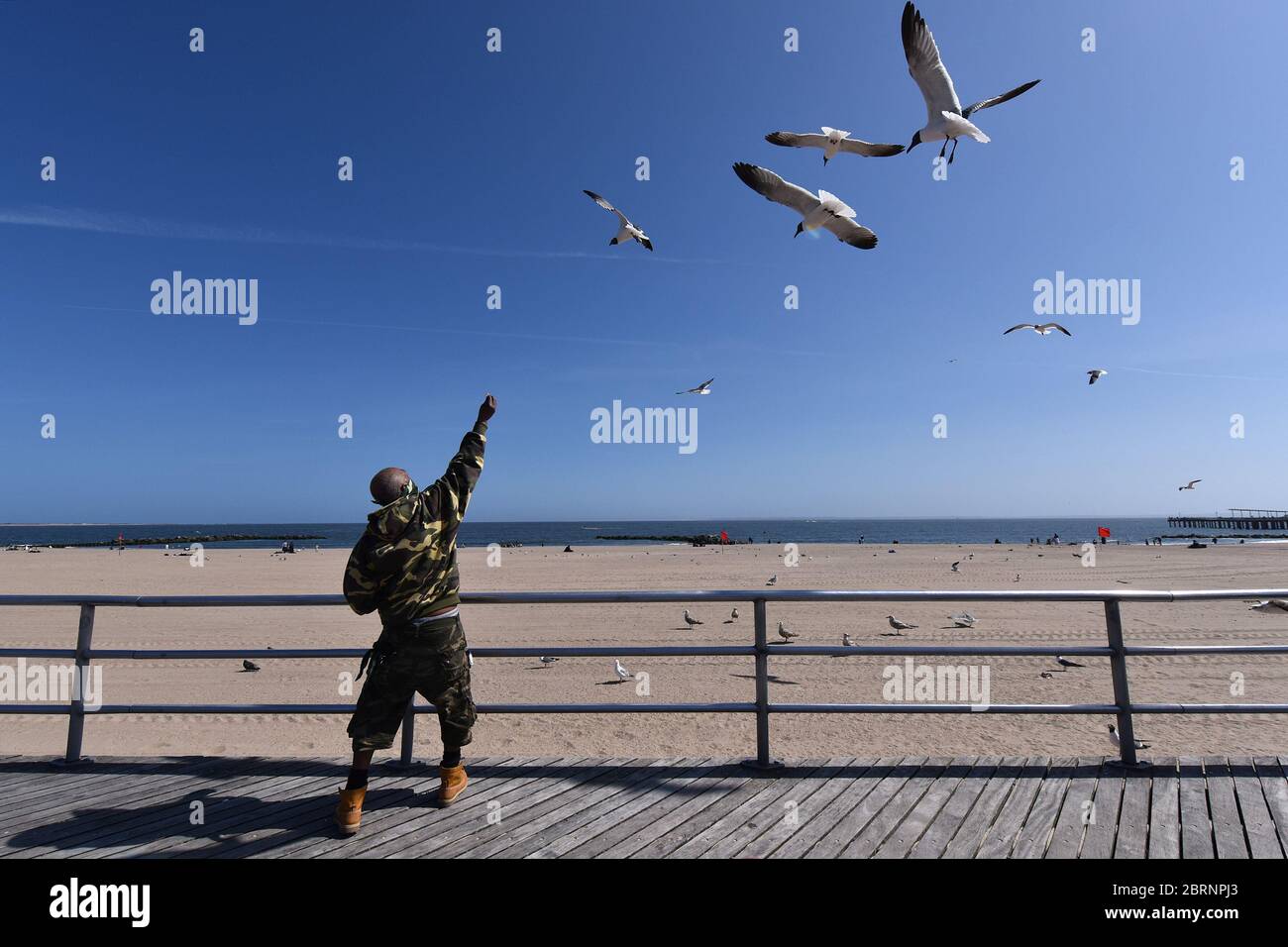 New York City, USA. Mai 2020. Während der COVID-19-Pandemie trägt ein Mann eine Gesichtsmaske und füttert fliegende Seeschwalben entlang der Strandpromenade von Coney Island im Stadtteil Brooklyn von New York City, NY, 21. Mai 2020. Die NYPD kündigte an, dass sie am Memorial Day Wochenende die Strände patrouillieren wird, um die soziale Distanz zu genießen und Masken auszuteilen, und sagte, Strandbesucher können nur knöcheltief ins Wasser gehen, kein Schwimmen ist erlaubt, aber Surfen wird erlaubt sein. (Anthony Behar/Sipa USA) Credit: SIPA USA/Alamy Live News Stockfoto
