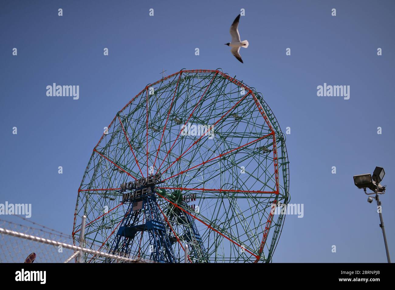 New York City, USA. Mai 2020. Geschlossen aufgrund der COVID-19-Pandemie fliegt ein seagul in der Nähe des Wonder Wheel im Luna Park von Coney Island, im Brooklyn-Bezirk von New York City, NY, 21. Mai 2020. Die NYPD kündigte an, dass sie am Memorial Day Wochenende die Strände patrouillieren wird, um die soziale Distanz zu genießen und Masken auszuteilen, und sagte, Strandbesucher können nur knöcheltief ins Wasser gehen, kein Schwimmen ist erlaubt, aber Surfen wird erlaubt sein. (Anthony Behar/Sipa USA) Credit: SIPA USA/Alamy Live News Stockfoto