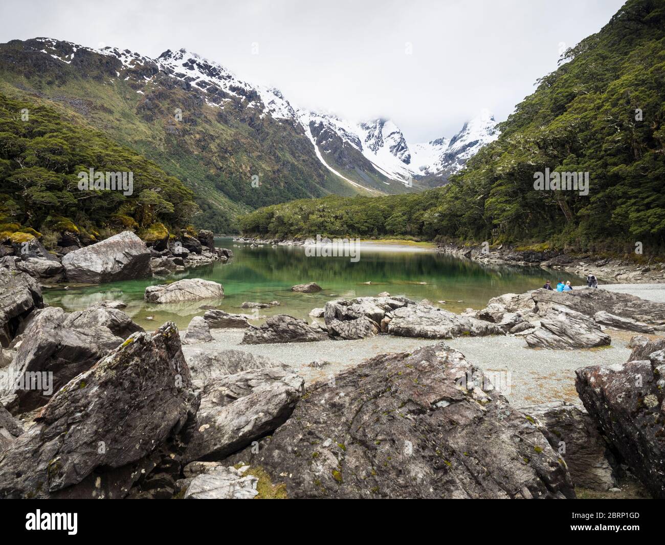 Lake Mackenzie, mit Emily Pass im Hintergrund, Routeburn Track, Fiordland National Park, Neuseeland Stockfoto