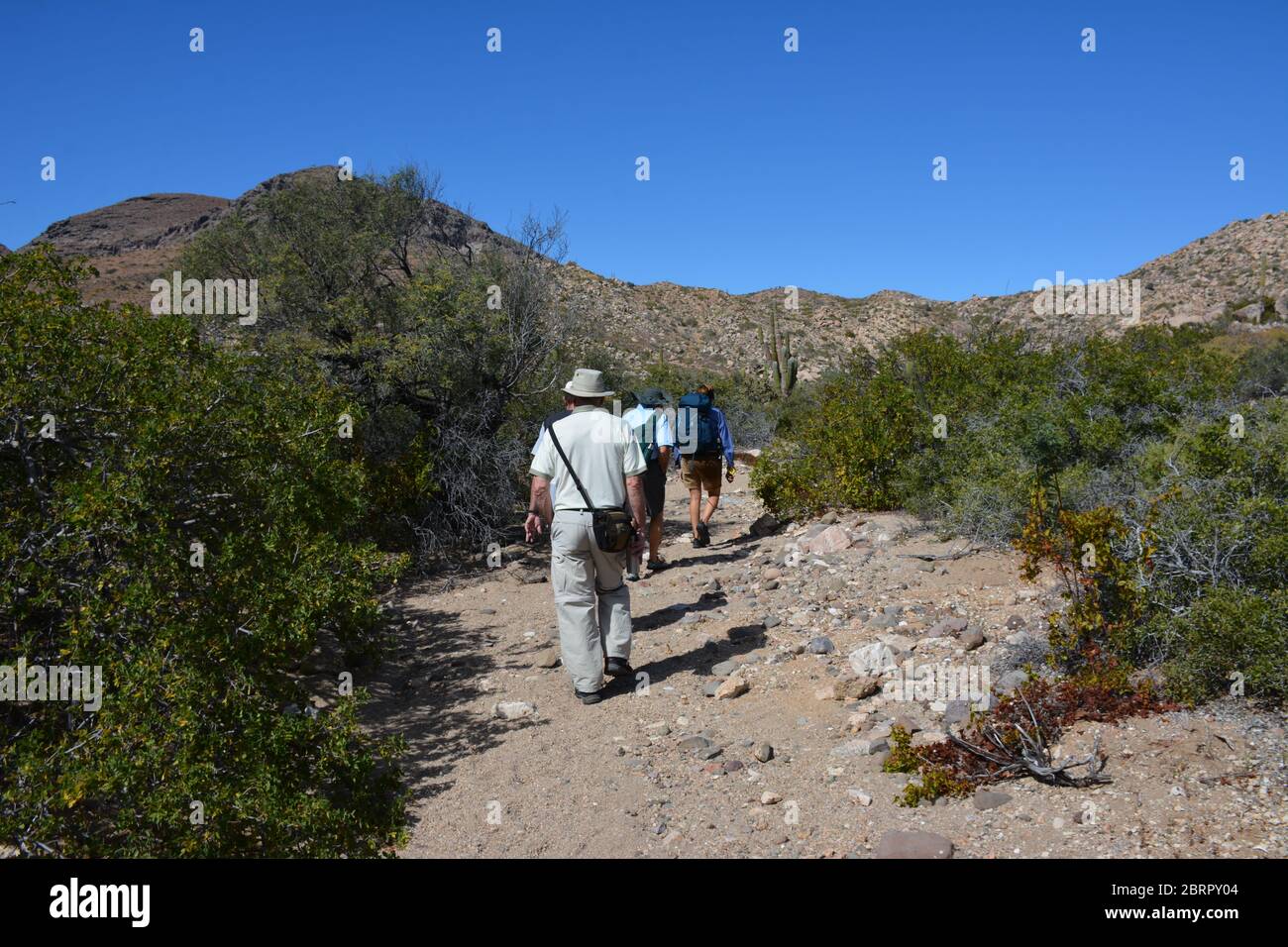 Amerikanische Touristen auf Isla del Espiritu Santo, erreichbar über Bonanza Beach, Baja California Sur, Mexiko. Stockfoto