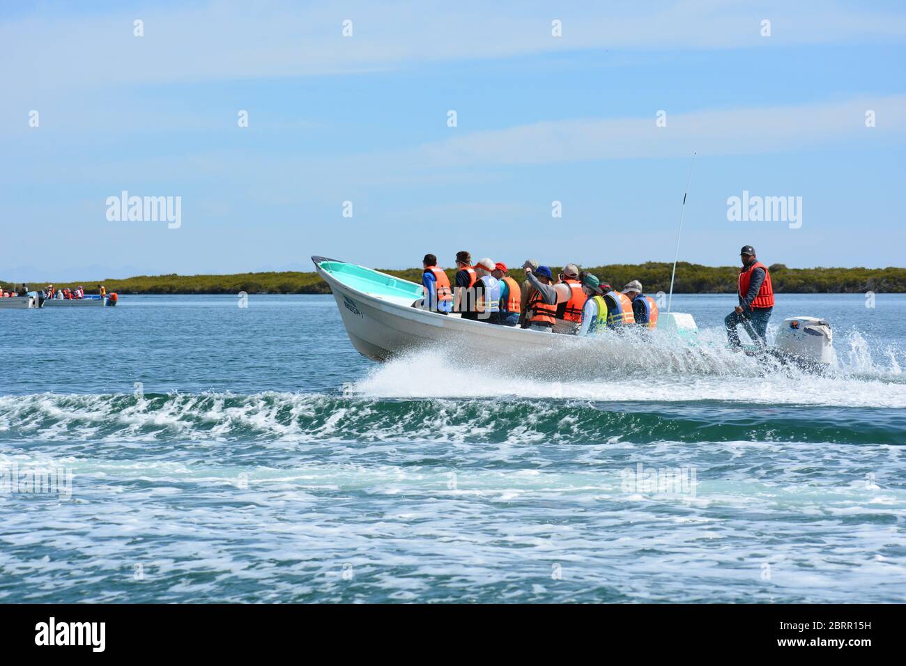 Landschaft und Wildtiere von einer Panga Bootstour in Magdalena Bay, Baja California Sur, Mexiko. Stockfoto