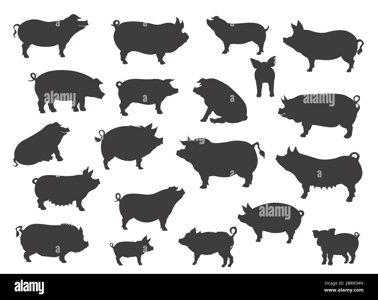 Sammlung von Schweinehassen. Tiere auf dem Bauernhof. Flache Silhouette in Schwarz. Vektorgrafik Stock Vektor