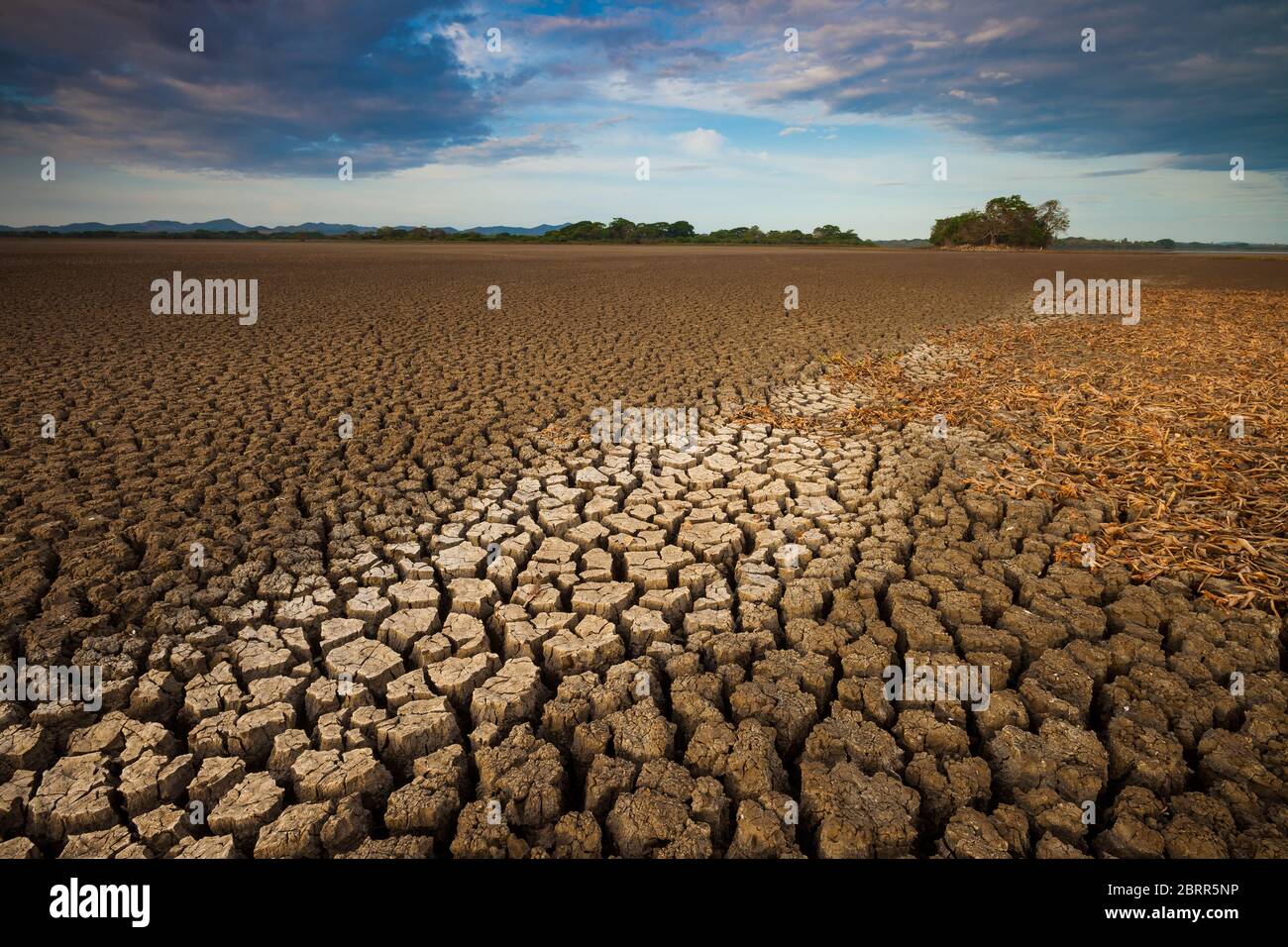 Dürre im See von Cienaga de las Macanas, El Rincon, Herrera Provinz, Republik Panama. Stockfoto