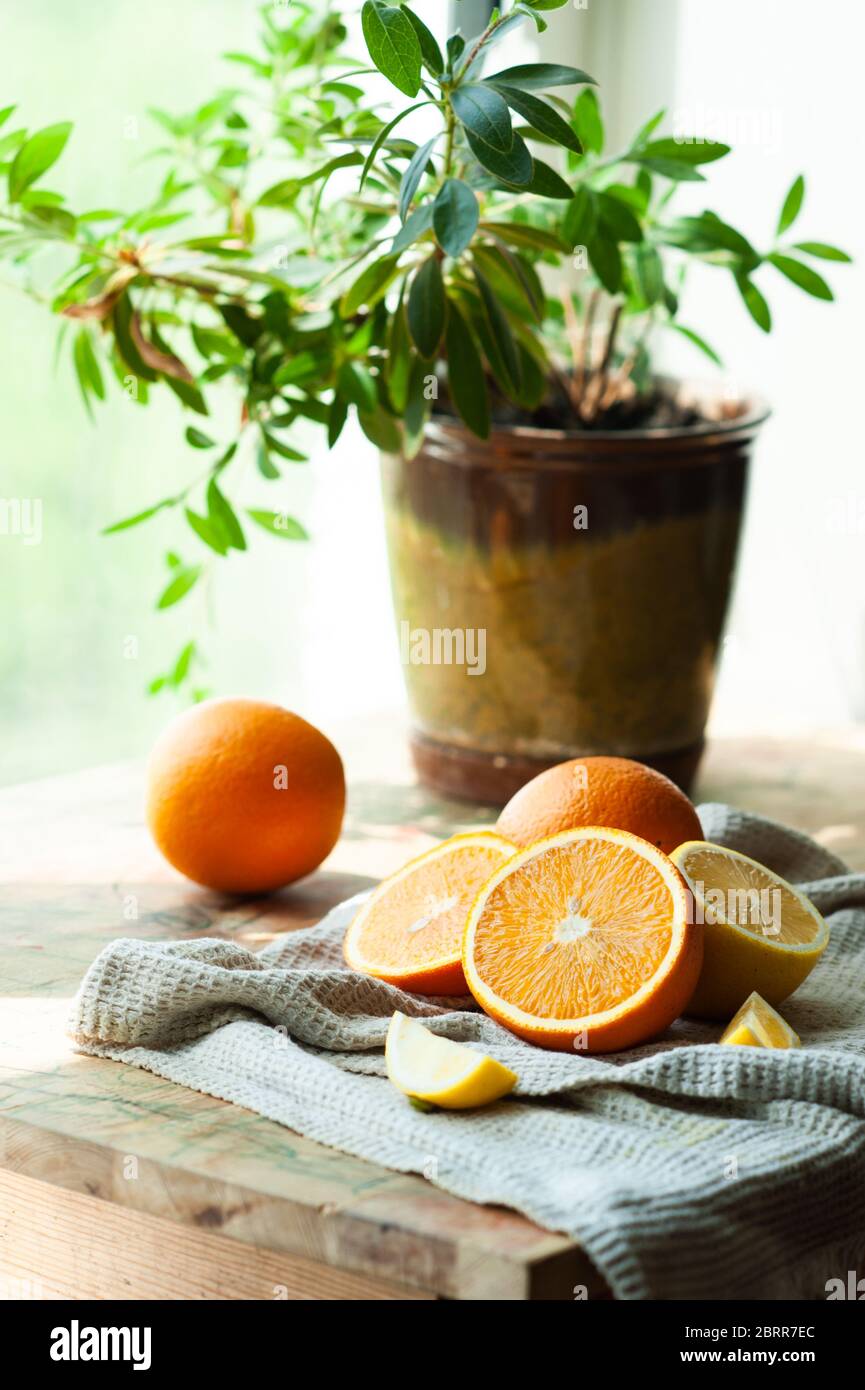 Rustikales Frühstück. Reife saftige ganze Orangen und Hälften auf einem baumwollgrauen Waffeltuch auf einem Hintergrund einer grünen Blume in einem Topf nahe dem Fenster. Vitami Stockfoto