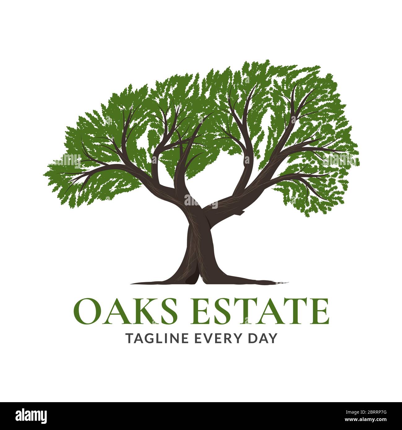 Baum Eichen Logo Design - Vektor Stock Vektor