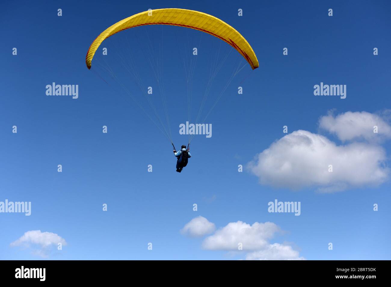 Paragleiter fliegt an sonnigen Tagen über Felder. Paragleiter am blauen Himmel. Stockfoto