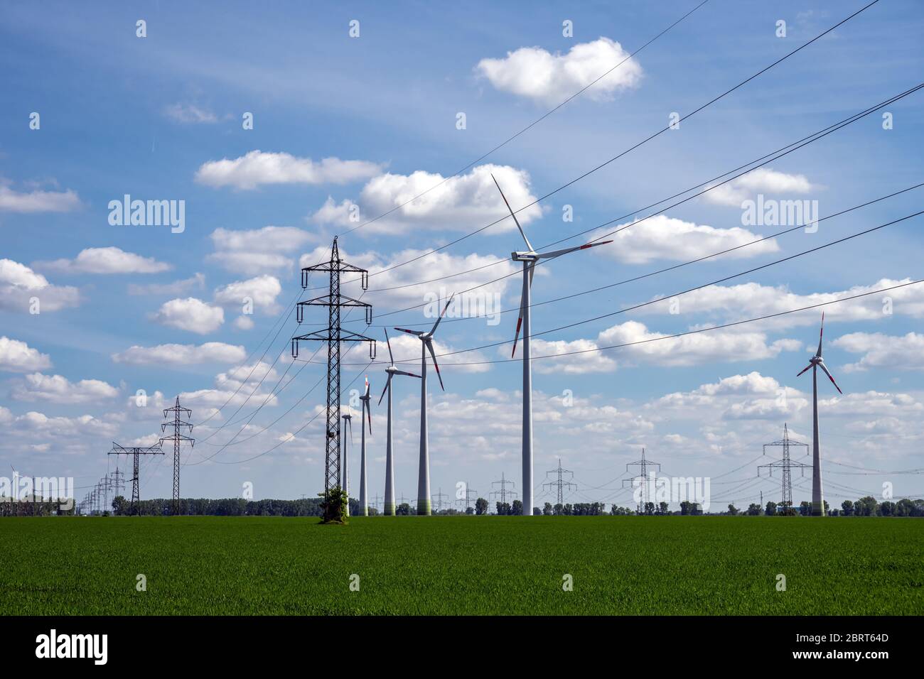 Freileitungen und Windturbinen in einem Kornfeld gesehen In Deutschland Stockfoto