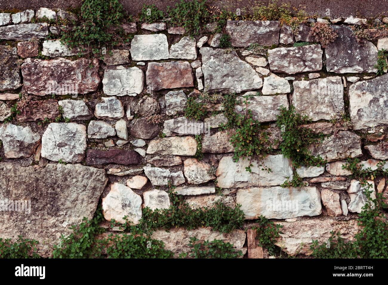 Rustikale Steinmauer aus verschiedenen Steinen mit Pflanzen auf ihr