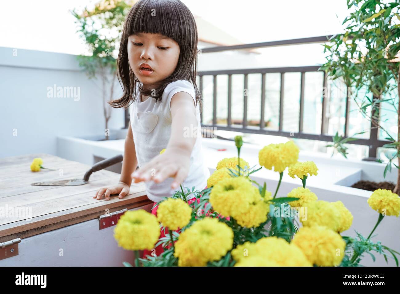 asiatische Kleinkind Gartenarbeit zu Hause von selbst Stockfoto