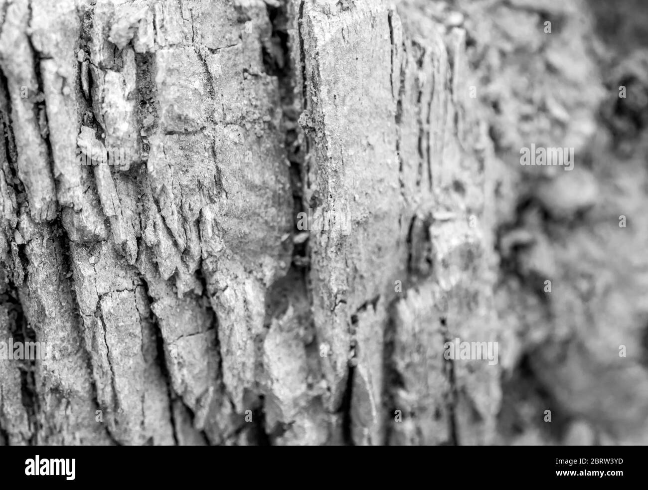 Textur aus Stein Fläche am Rocky Mountain Stockfoto