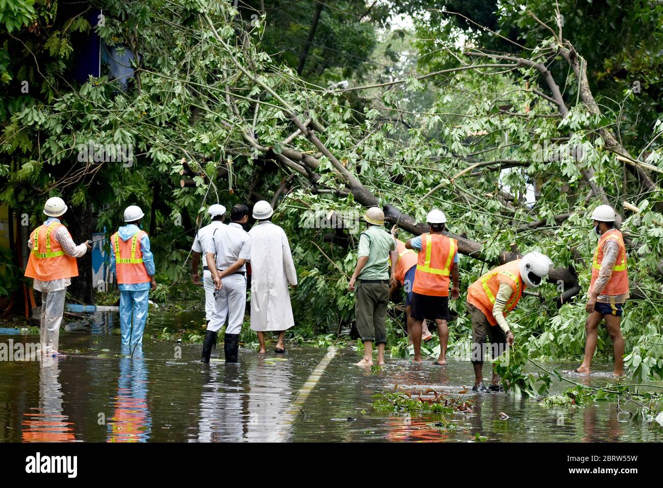 Kalkutta, Indien. Mai 2020. Indien: Nach dem verheerenden Superkyklon „Amphan“ sind laut der Landesregierung mindestens 80 Menschen in Westbengalen gestorben. Mindestens 5000 Bäume entwurzelt in Kalkutta, 2500 Bäume im Salzsee. Mobile, Internet-Konnektivität und Wasser & Stromversorgung nach dem Abendessen Zyklon behindert. NDRF/Polizei/Katastrophenmanagement Team arbeitet zusammen, um die Stadt wieder aufzubauen. PM Modi wird heute den Ministerpräsidenten besuchen und treffen. (Foto von Sudipta Pan/Pacific Press) Quelle: Pacific Press Agency/Alamy Live News Stockfoto