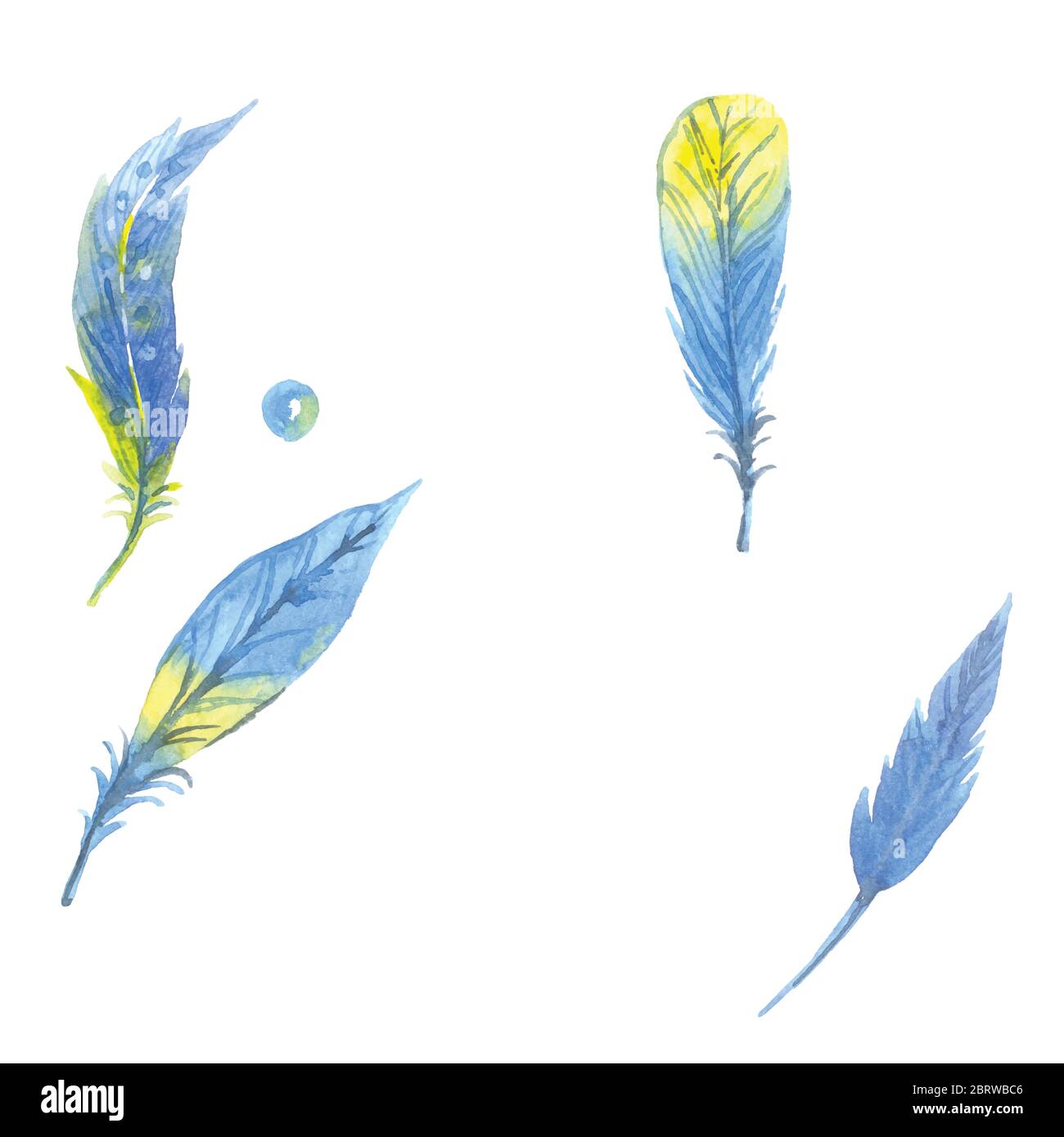 Set mit Aquarellfedern. Handgezeichnete Illustration Stock Vektor