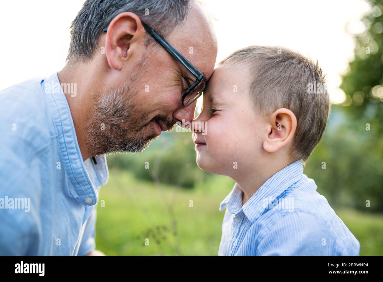 Vater mit kleinen Kleinkind Sohn auf Wiese im Freien, umarmt. Stockfoto