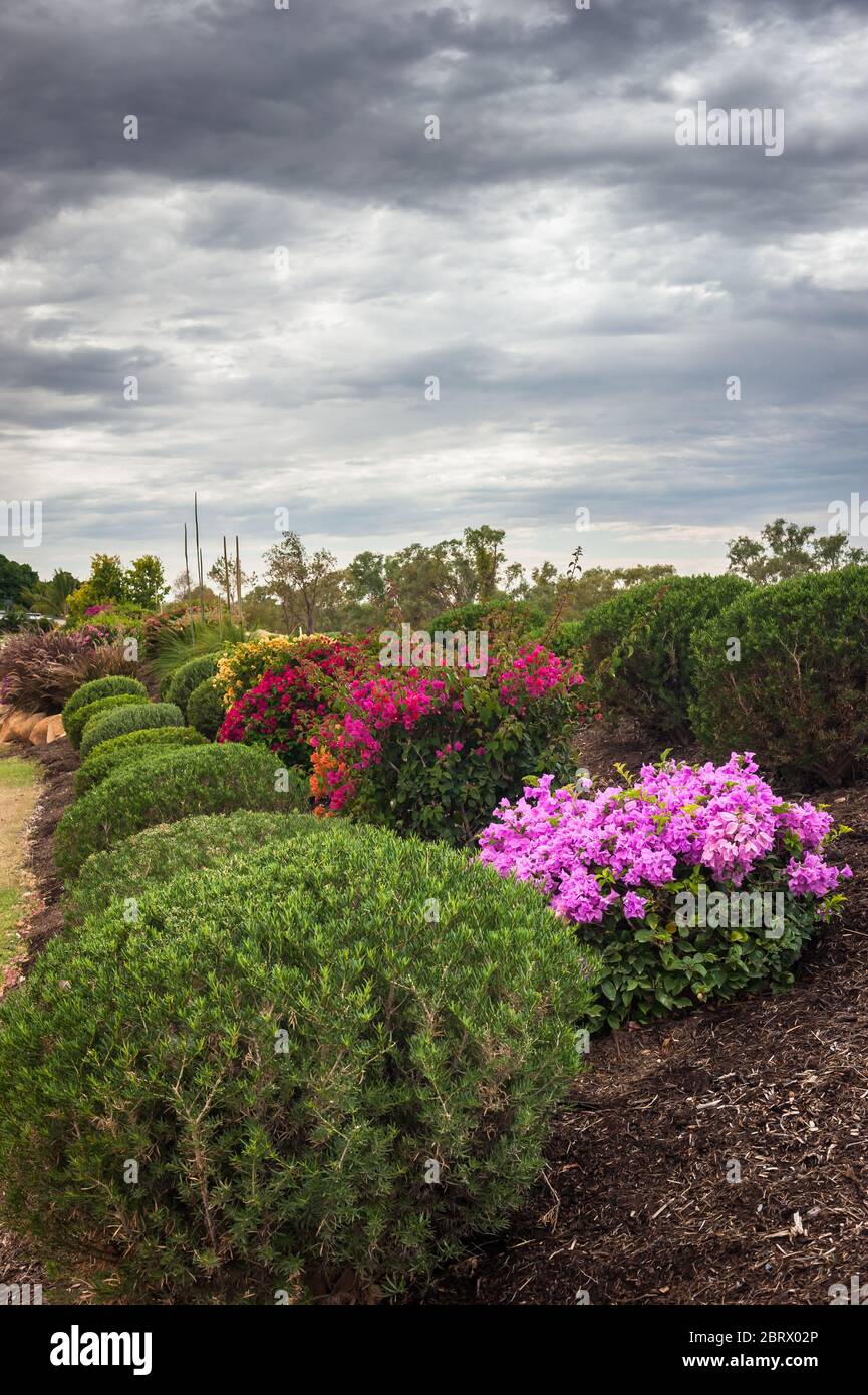 Der wunderschöne Kontrast zwischen den wunderschön gepflegten Gärten und dem brodelnd Himmel von Georgetown im Etheridge Shire von Far North Queensland. Stockfoto