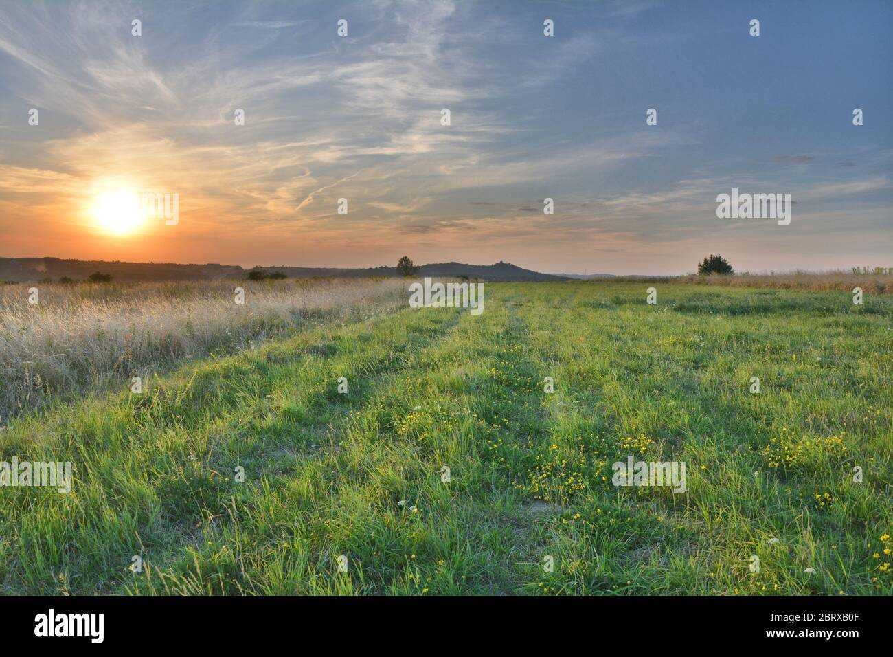 Sonnenuntergang über Sommerwiesen in Polen Stockfoto