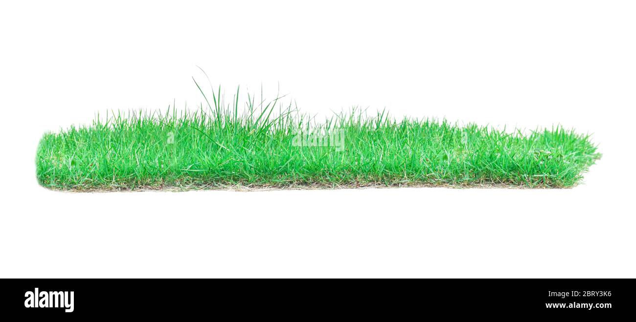 Grünen Rasen isoliert auf einem weißen Hintergrund. Stockfoto