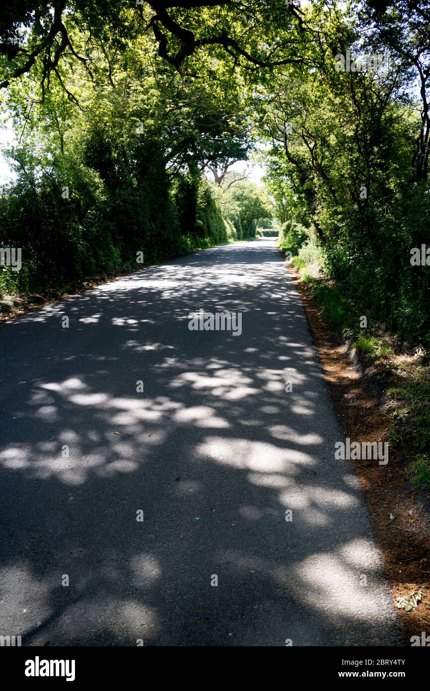 Sonnenlicht auf einer Landstraße, Beausale, Warwickshire, England, Großbritannien Stockfoto
