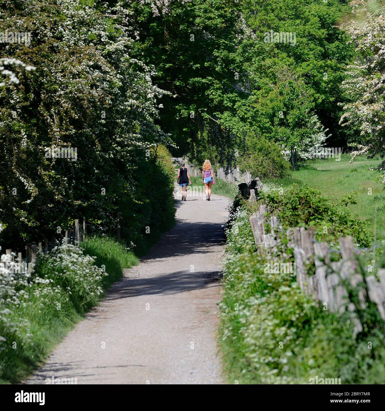 Loose Village, Kent, Großbritannien. Frauen zu Fuß auf einem ländlichen Fußweg Stockfoto
