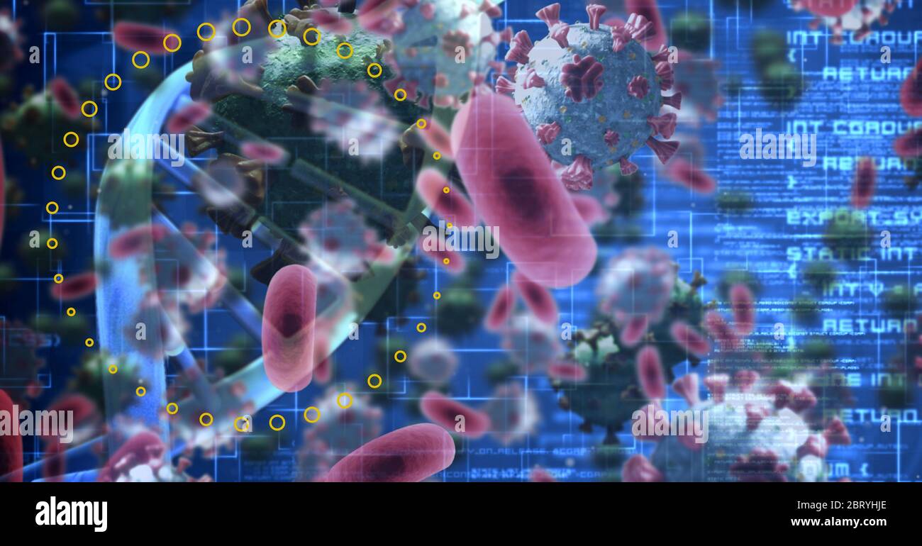 Rote Zellen über DNA-Stamm und Datenverarbeitung und Coronavirus Covid19 Pandemie Stockfoto