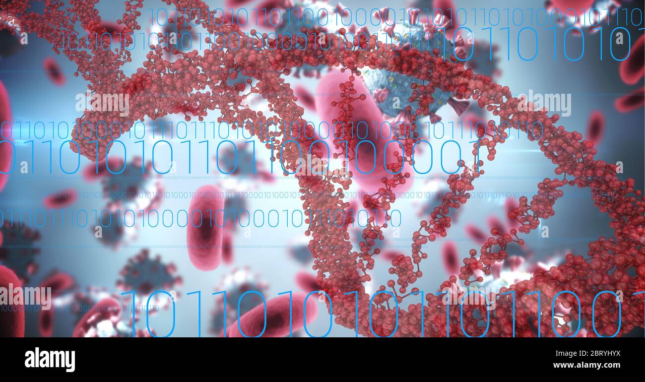 Rote DNA-Stamm und Zellen mit Coronavirus-Covid19-Zellen Stockfoto
