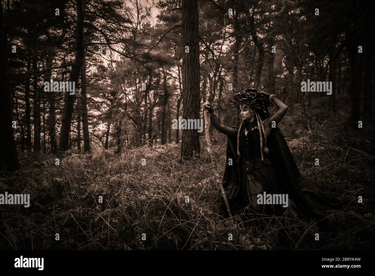 Medusa aus ihrem Verglauf und durch die Felsen und Bäume wandernd Stockfoto