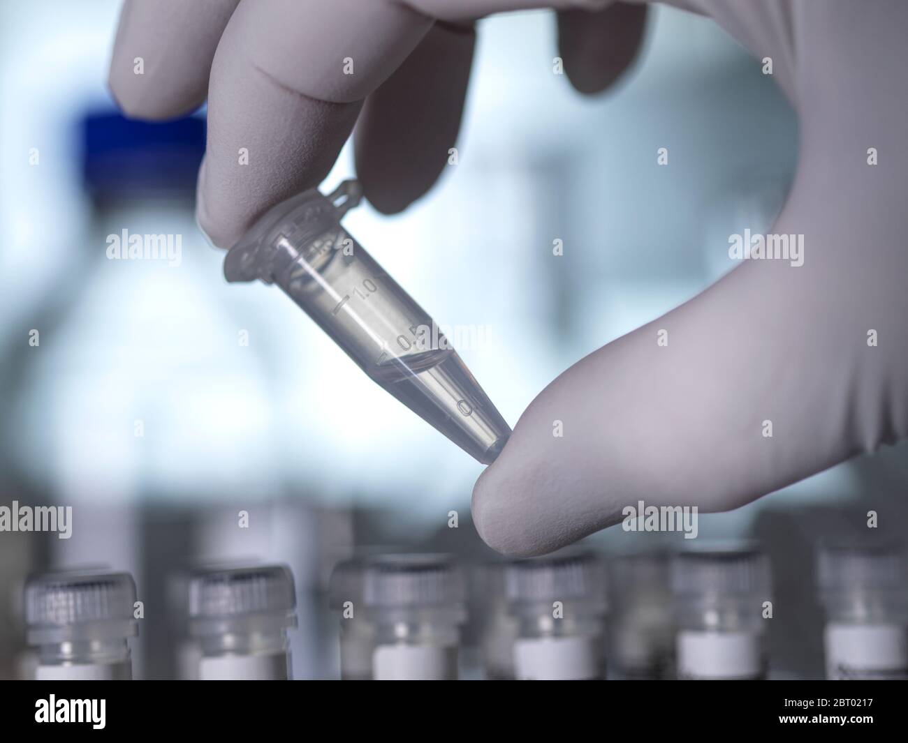 Wissenschaftler bereiten DNA-Proben bereit für die automatisierte Analyse im Labor Handhabung eppendorf Tuben. Stockfoto