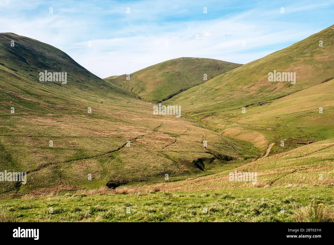 Carewoodig bei Langholm mit Blick auf Tudhope Hügel in den schottischen Grenzen. Stockfoto