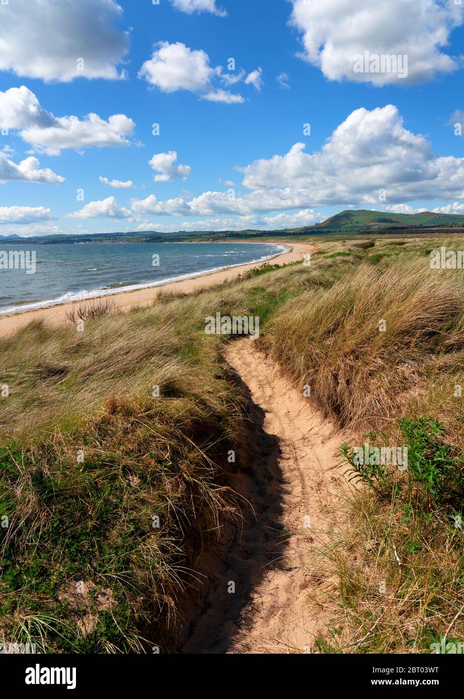 Blick auf den Fife Coastal Path in Sanddünen bei Dumbarnie an der Largo Bay, Fife, Schottland, Großbritannien Stockfoto