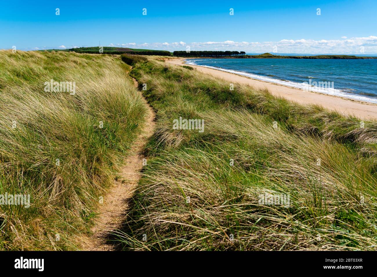 Blick auf den Fife Coastal Path in Sanddünen bei Dumbarnie an der Largo Bay, Fife, Schottland, Großbritannien Stockfoto
