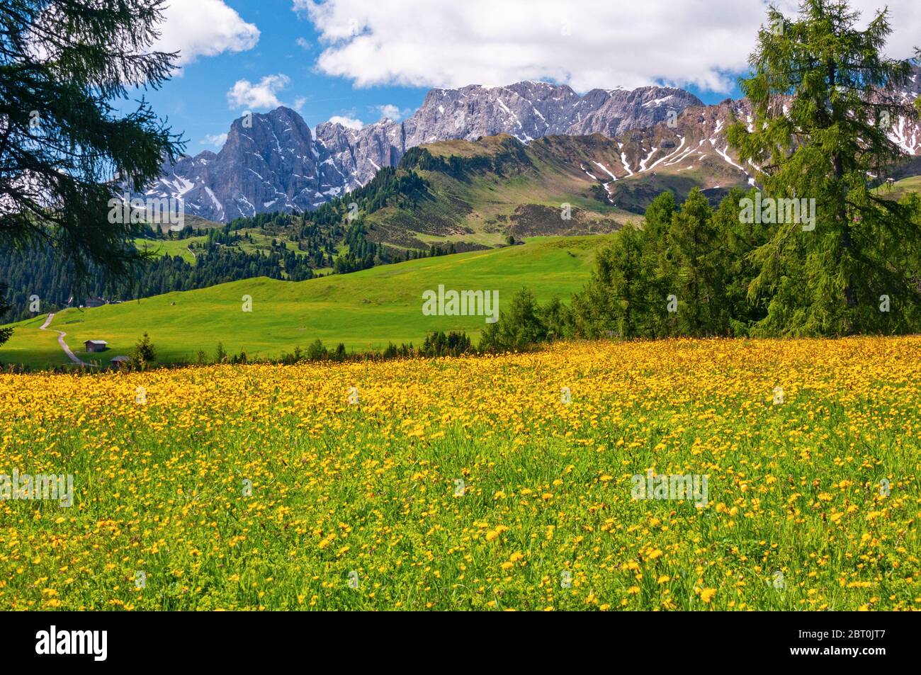 Dolomiten-Gipfel der Seiser Alm, Trentino-Südtirol, Italien Stockfoto