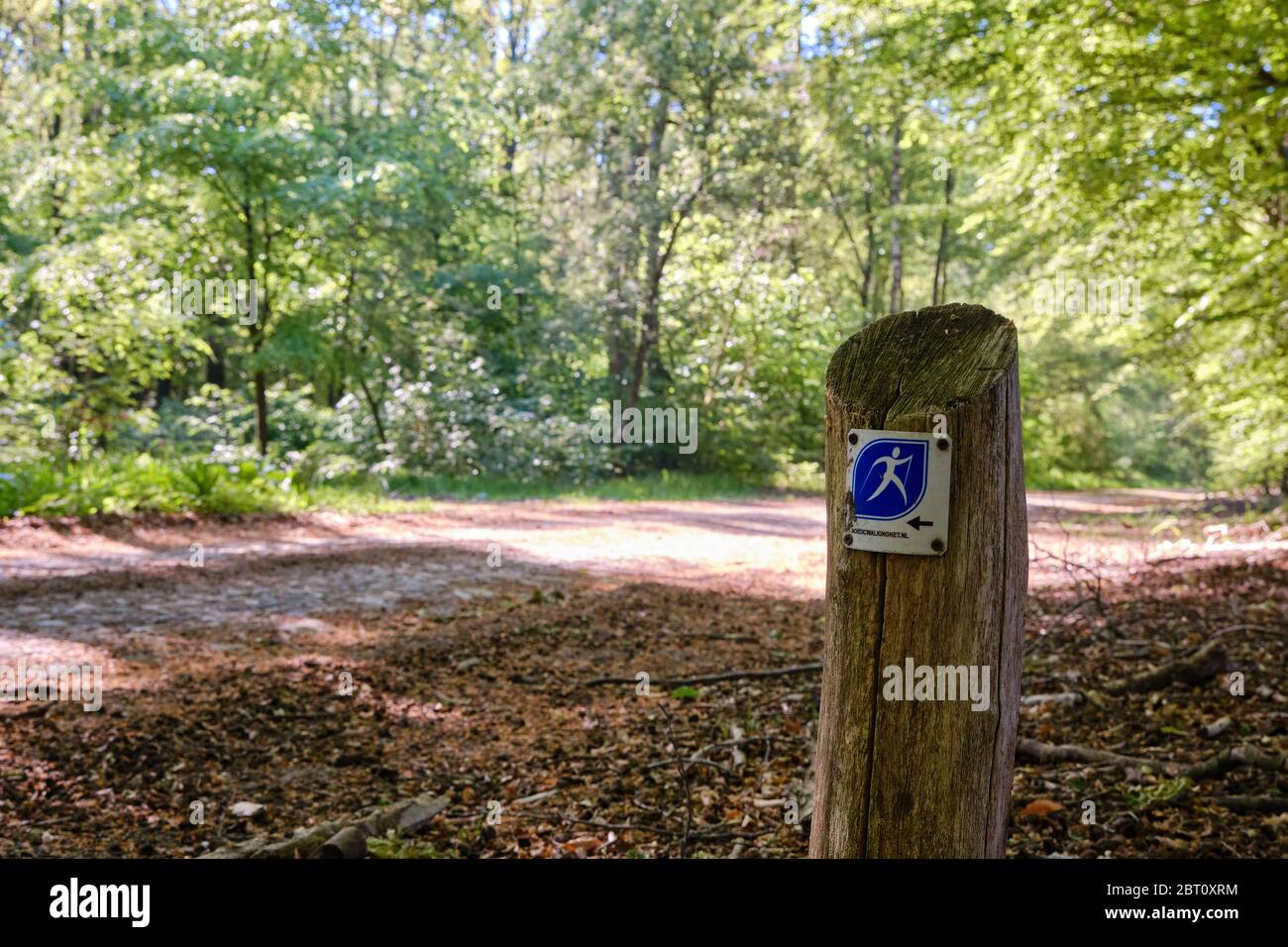 Borger, Niederlande-Mai 18,2020:Nordic Walking Wanderweg Schild entlang einer alten Natursteinpfad in einem grünen Wald Stockfoto