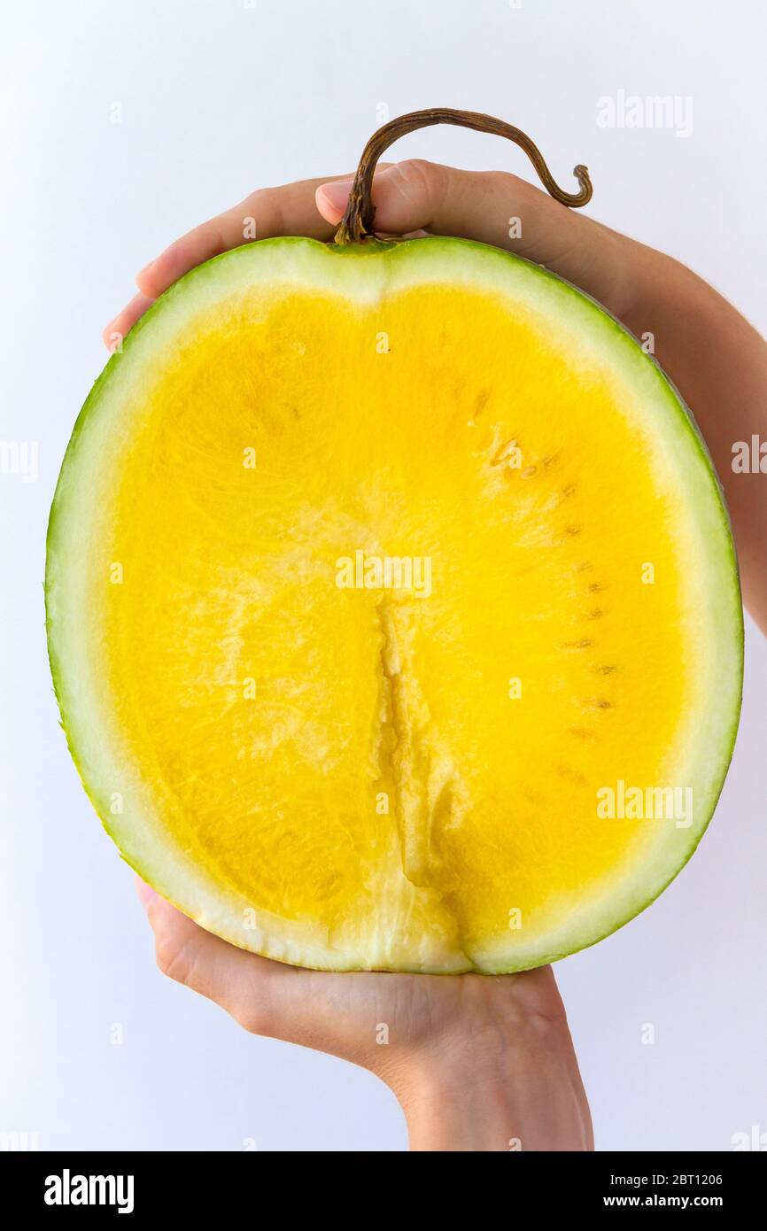 Eine gelbe Wassermelone, in zwei Hälften geschnitten, in der Hand einer jungen Frau gehalten, isoliert auf weiß. Stockfoto