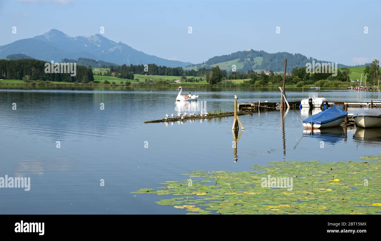 Bayern Hopfensee Stockfoto