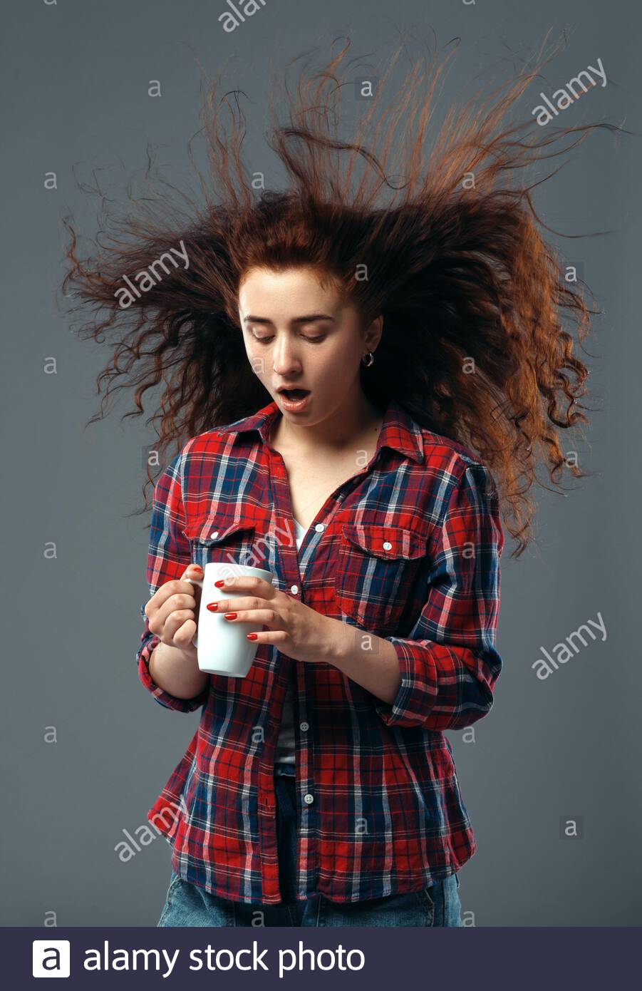 Download Starker wind lustig Free Starker Wind Lustig