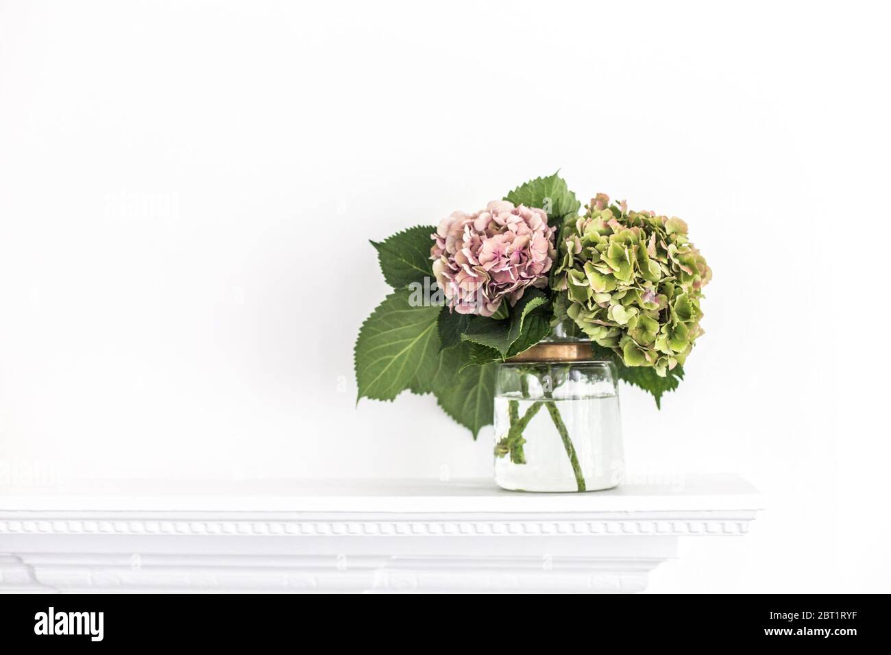 Hortensia blüht in einer Glasvase auf einem Kaminsims Stockfoto