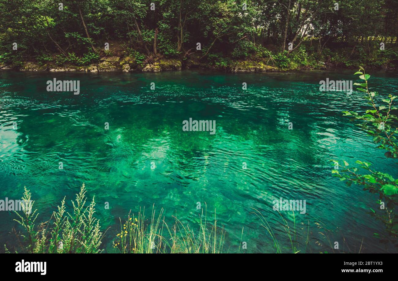 Unberührter Kristall Klares Wasser Des Norwegischen Flusses Mit Umliegenden Bäumen Und Vegetation. Stockfoto