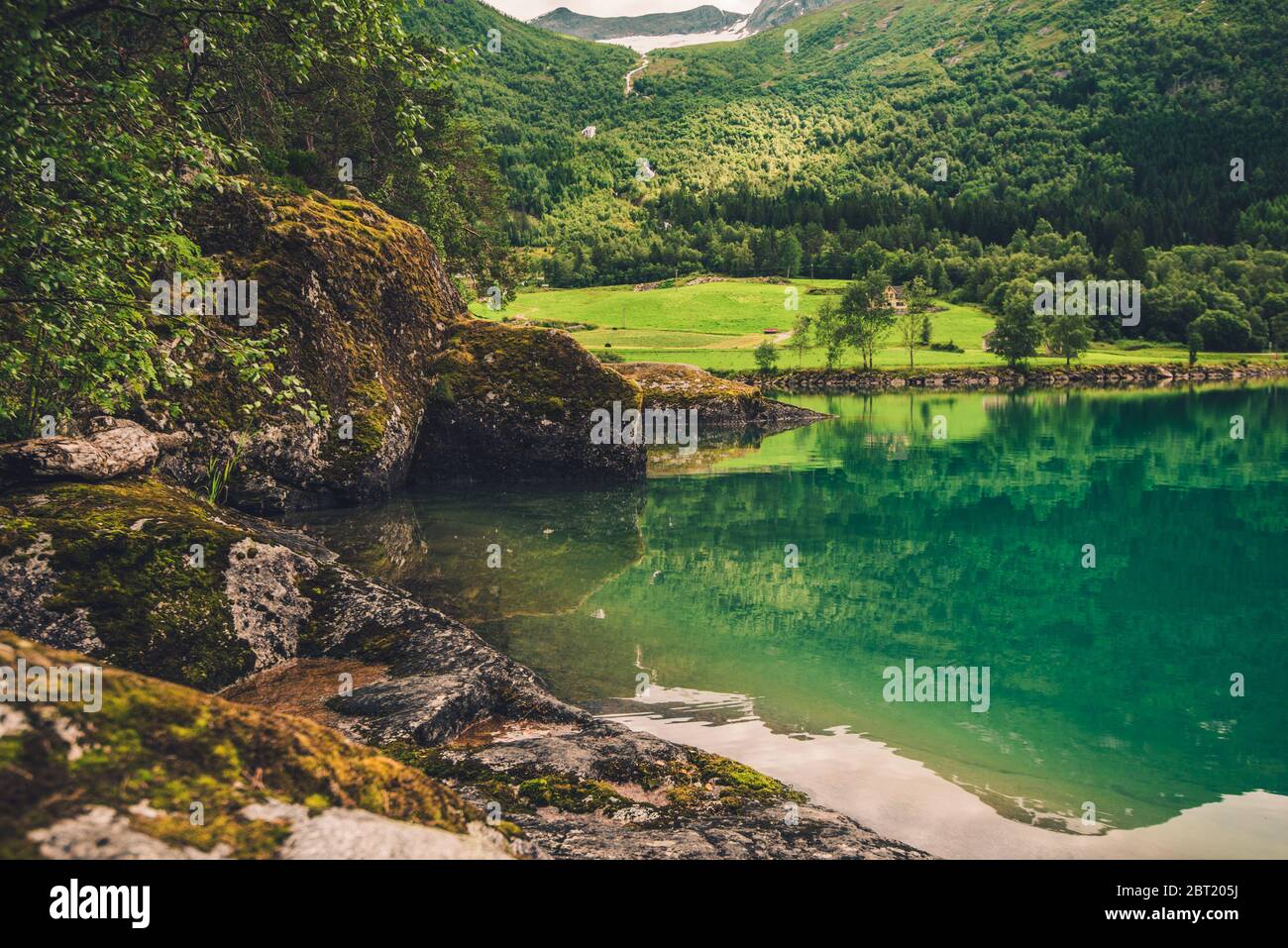 Malerischer Panoramablick Auf Norwegen Naturschätze Mit Mossy Felsen Bäume Büsche Und Gewässer. Stockfoto