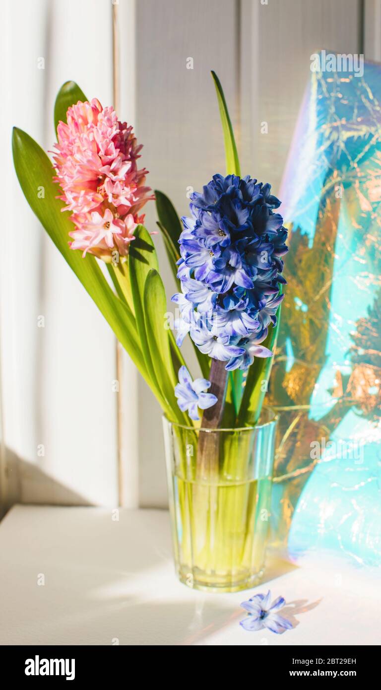 Hyazinthe Blumen neben einer holographischen Tasche auf einem Tisch Stockfoto