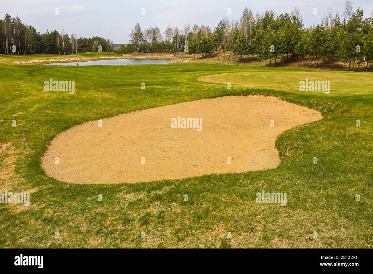 Panorama Sommer Golf Feld Natur Stockfoto