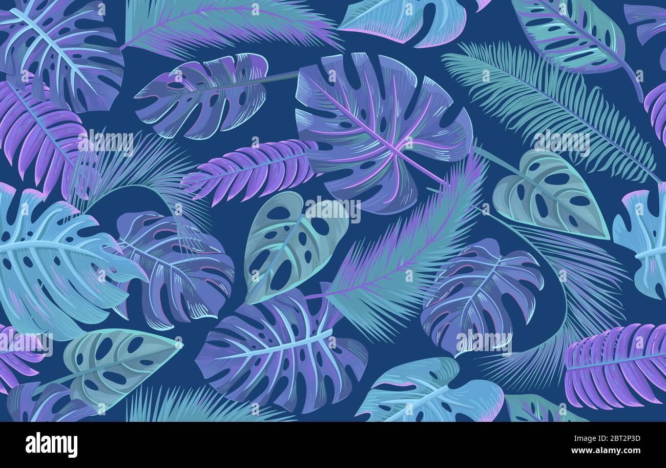 florida beauty philodendron Philodendron billietiae variegata x Florida Beauty