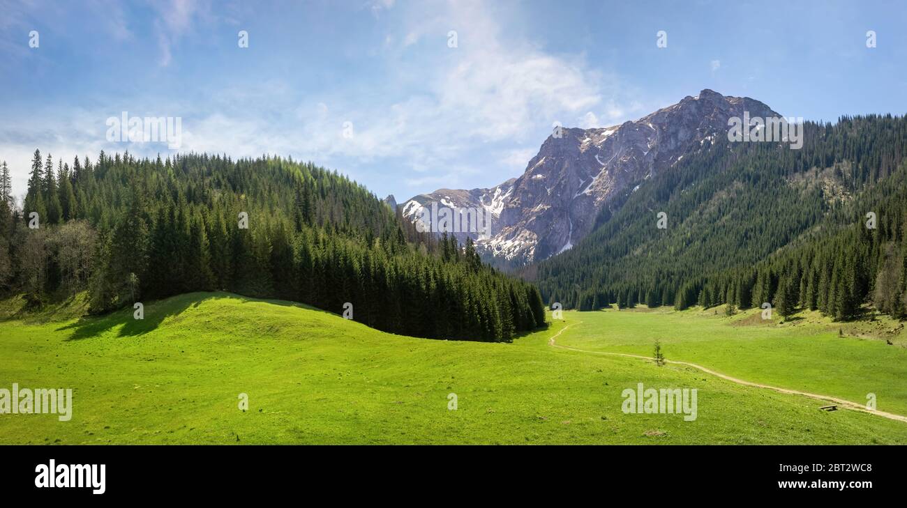 Panoramablick auf die Lichtung im kleinen Wiesental in der Tatra, Polen Stockfoto