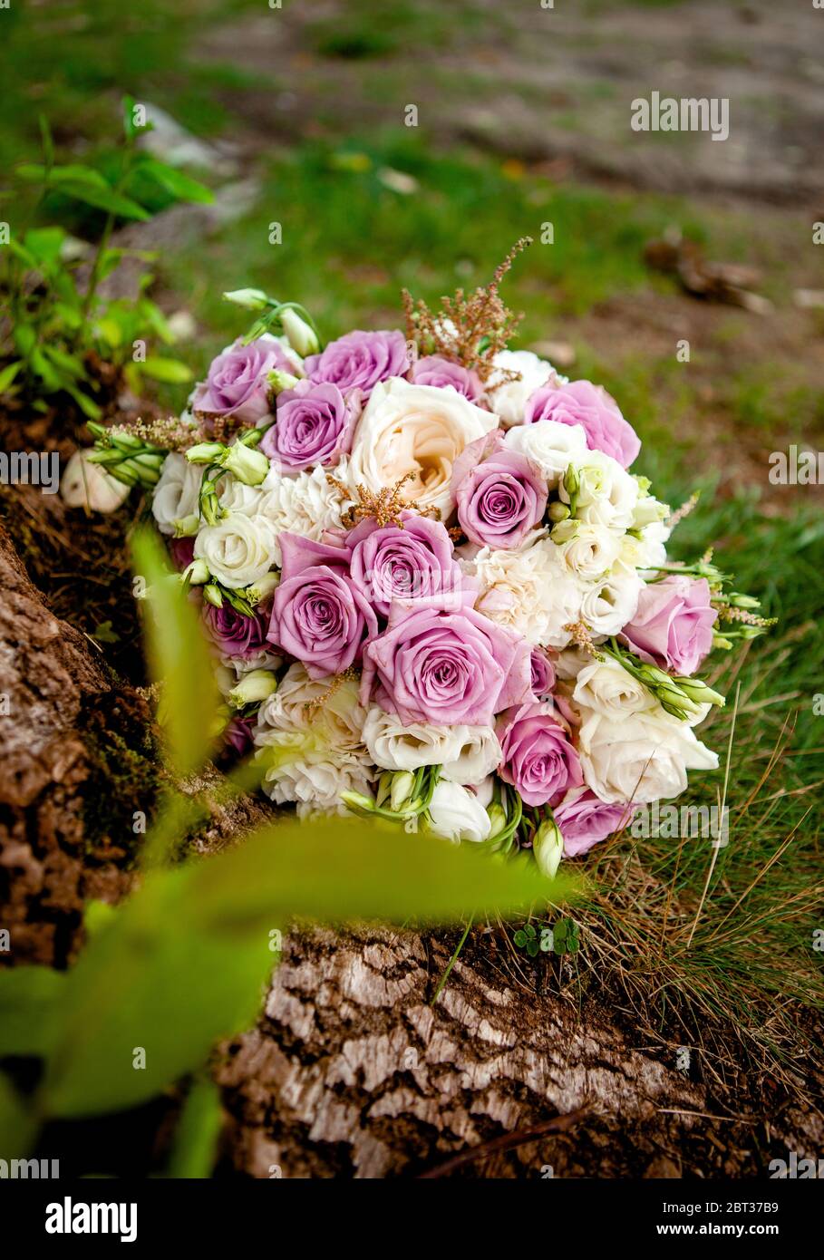 Hochzeitsstrauß in violetten und weißen Tönen von Rosen und Eustoma Stockfoto