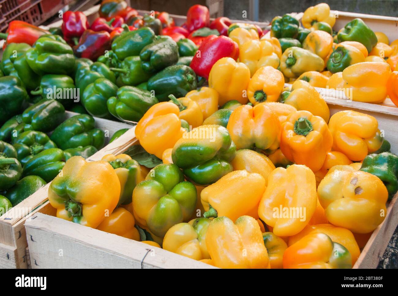 Stapel von Paprika auf einem Framer Markt.Rote, grüne und gelbe Paprika zum Verkauf. Stockfoto